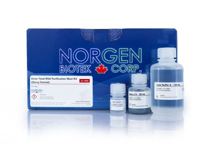 Urine Total RNA Purification Maxi Kit (Slurry Format)
