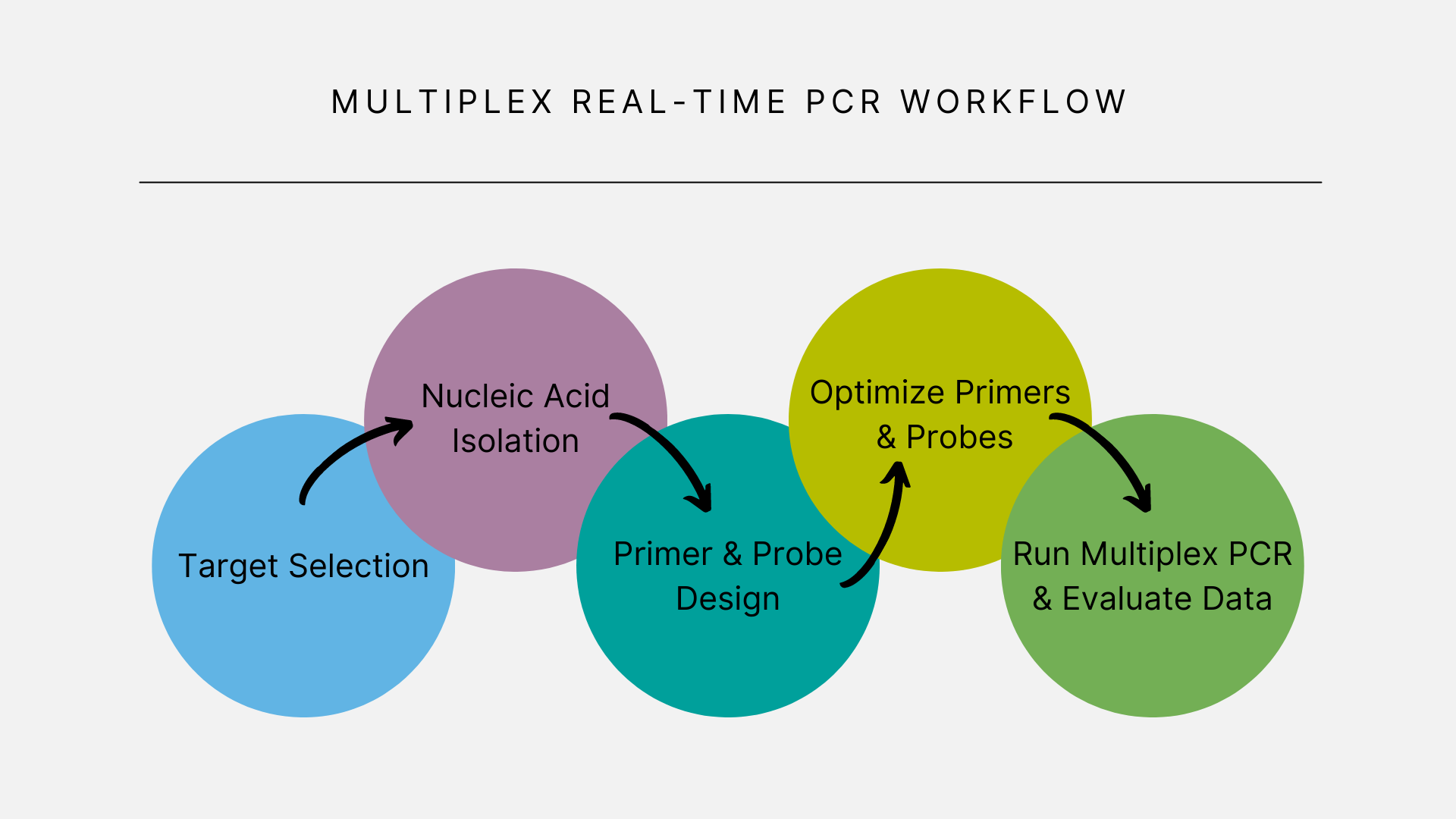 Multiplex Real-Time PCR Workflow