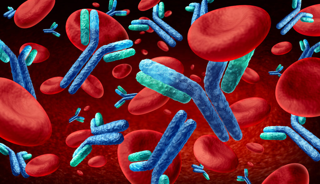 antibodies in blood